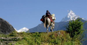 pony-trekking-pokhara